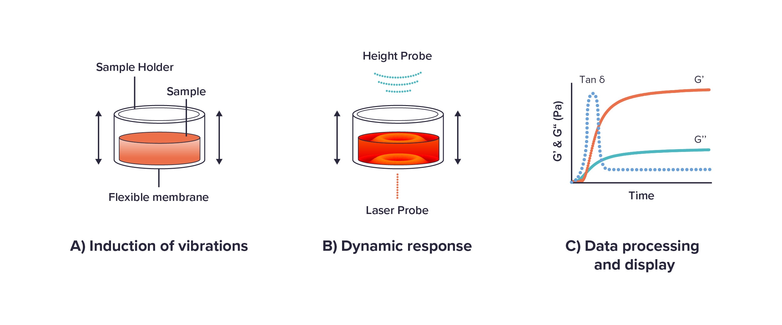 How does the ElastoSens™ Bio work?