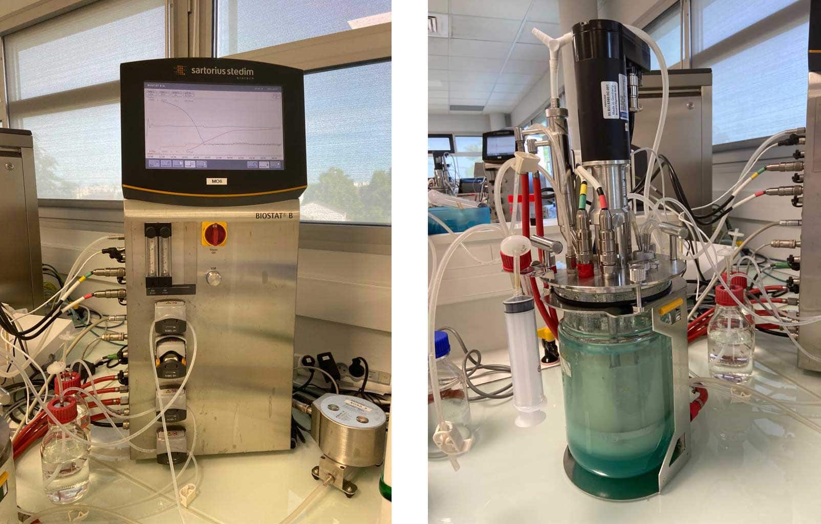 Yeast bioreactor in sterile conditions.